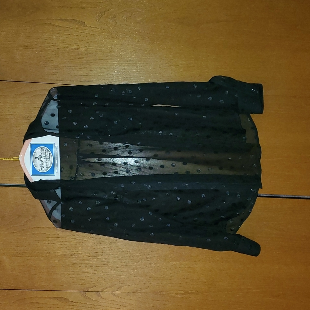 CLEARANCE SALE! Express Sheer button down with glitter